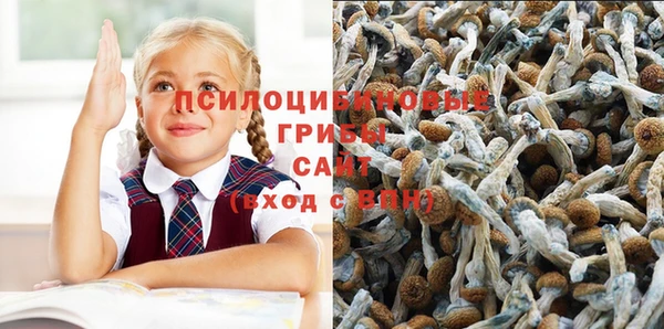 прущая мука Елизово