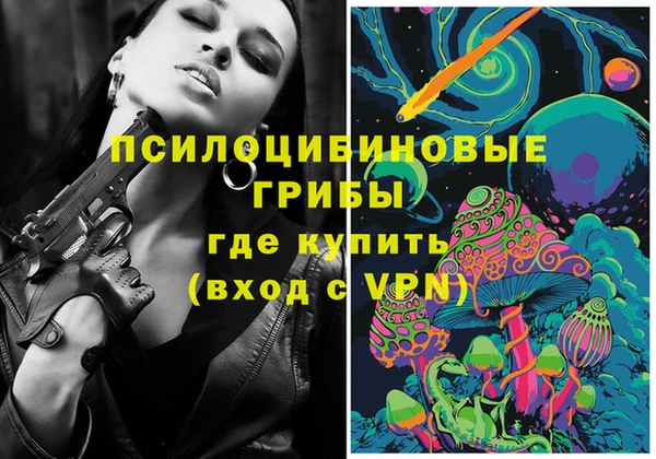 экстази Заводоуковск
