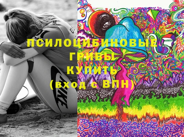 экстази Заводоуковск